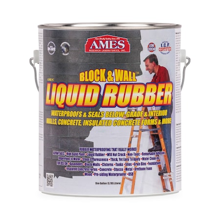 Ames Research Laboratories Ames Block & Wall Liquid Rubber Coating 1 Gallon - White BWRF1